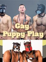 8 Reasons Why Gay Puppy Play Cover Image