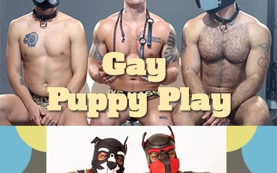 8 Reasons Why Gay Puppy Play Is Great if You’re New to Kink