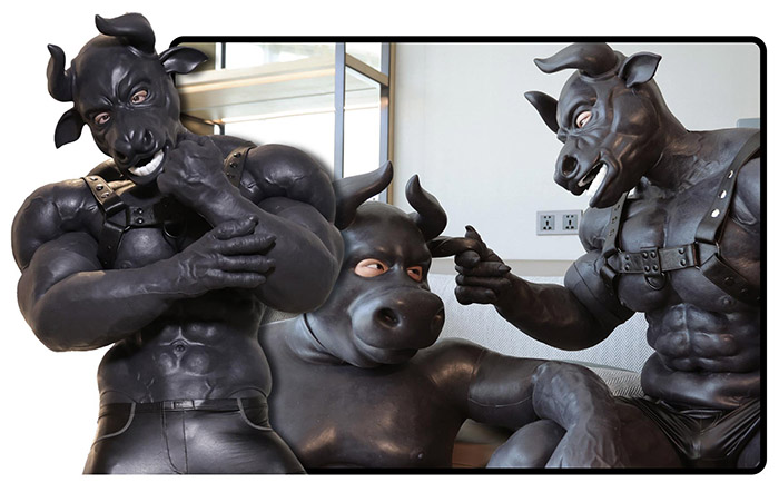 The Bull Mask
