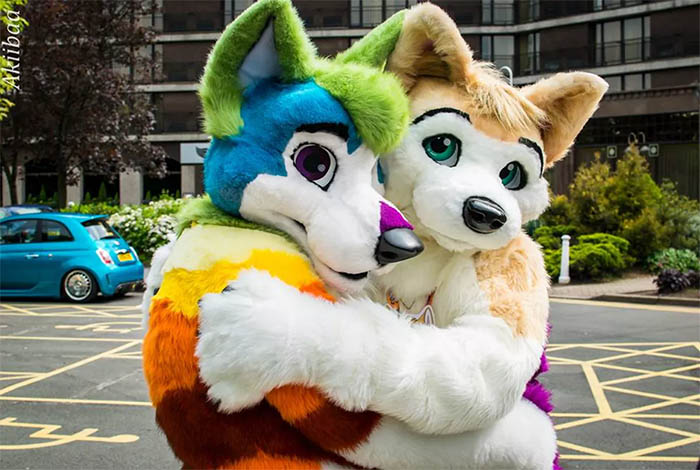 Ready to be a Gay Furry?