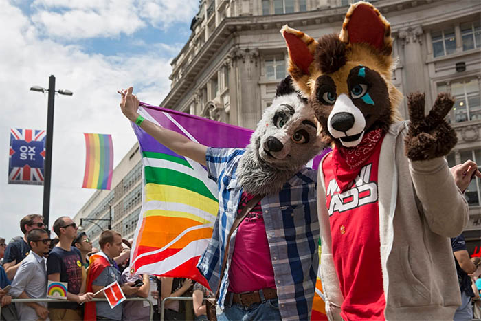 What is Gay Furry?