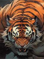 Muscular Tiger, Strong and Courageous Tiger, Noble and Elegant Tiger, Furry Tiger, Handsome Tiger, Agile Tiger, Anthropomorphism Tiger-cover