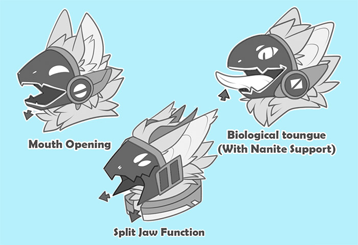 Operation and function