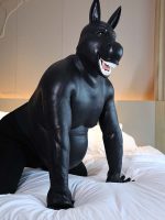 silicone-black-donkey-belly-petsuit-set_03