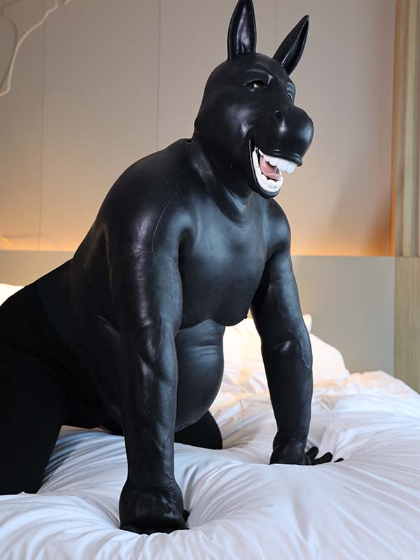 silicone-black-donkey-belly-petsuit-set_03