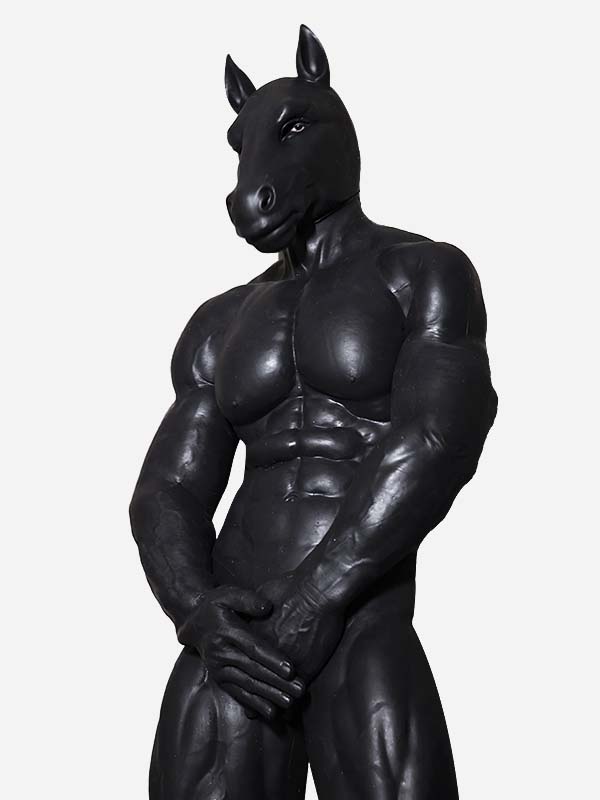 silicone-black-horse-muscle-petsuit-set_04