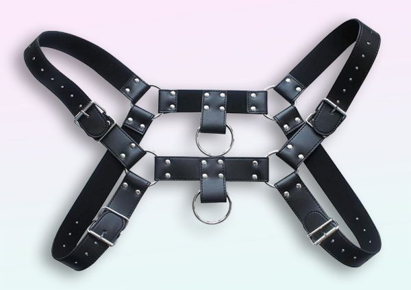  Unveiling Harness for gay men