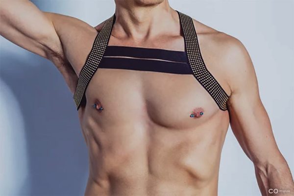 Unveiling Harnesses for gay men