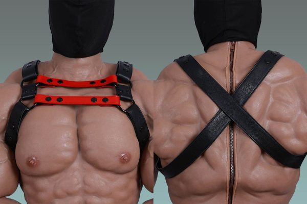 Unveiling Harnesses for gay men