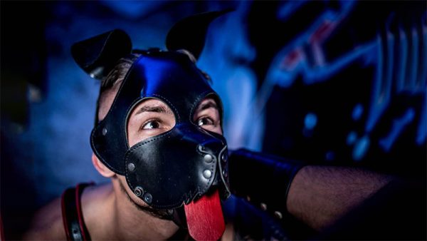 How to Train and Care for Your Pet in Gay Pet Play BDSM