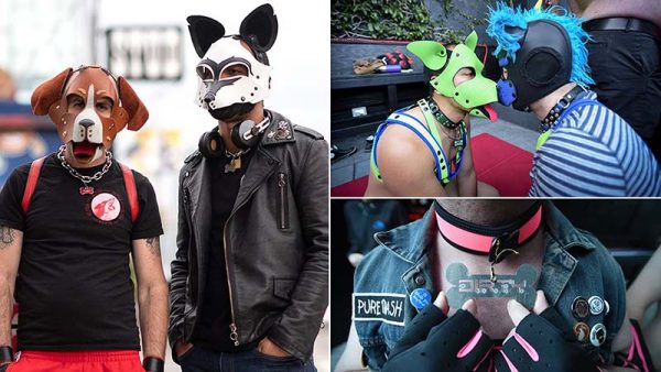 How to Train and Care for Your Pet in Gay Pet Play BDSM