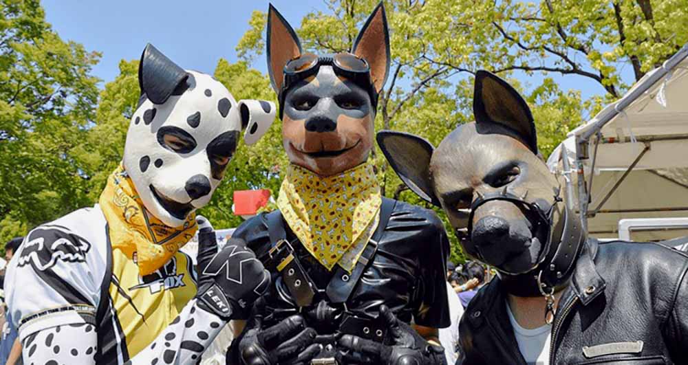 The Best Sex Cosplay Themes and Petsuits