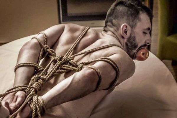 The Best Sex Cosplay Themes and Petsuits