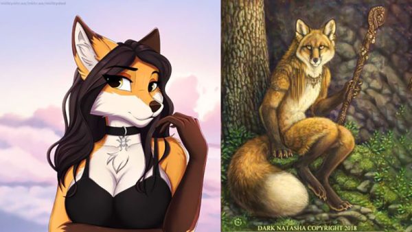 furry theory