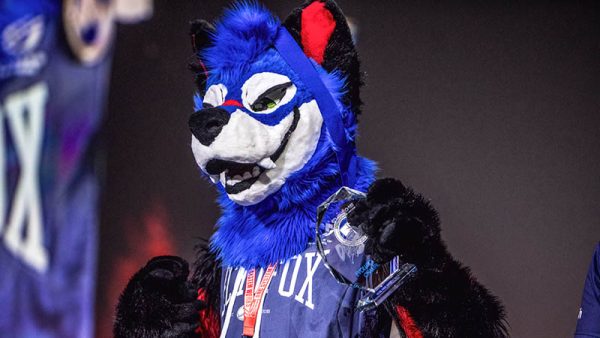 furry 