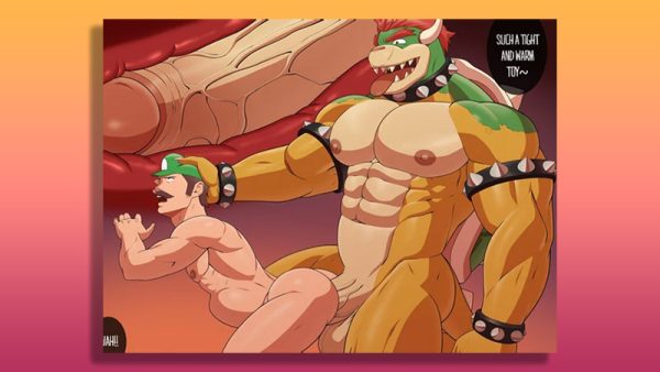 bowsers furry