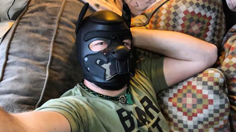 5 Easy Ways to Personalize Your Pup Hood for Maximum Comfort and Fun