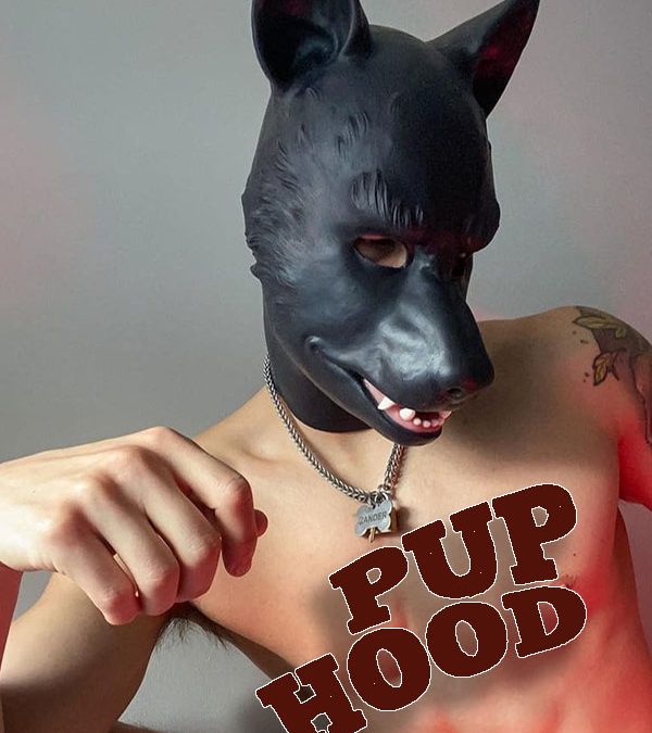 5 Easy Ways to Personalize Your Pup Hood for Maximum Comfort and Fun