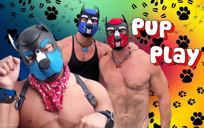 What_Is_Pup_Play_A_Complete_Guide_to_This_Kink_and_Its_Appeal_1