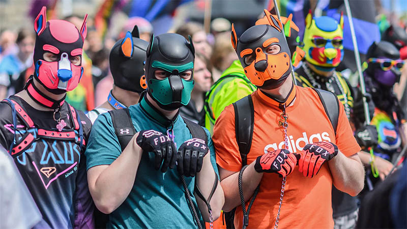 The 7 Most Exciting Hood Dog Accessories for Your Sexual Play