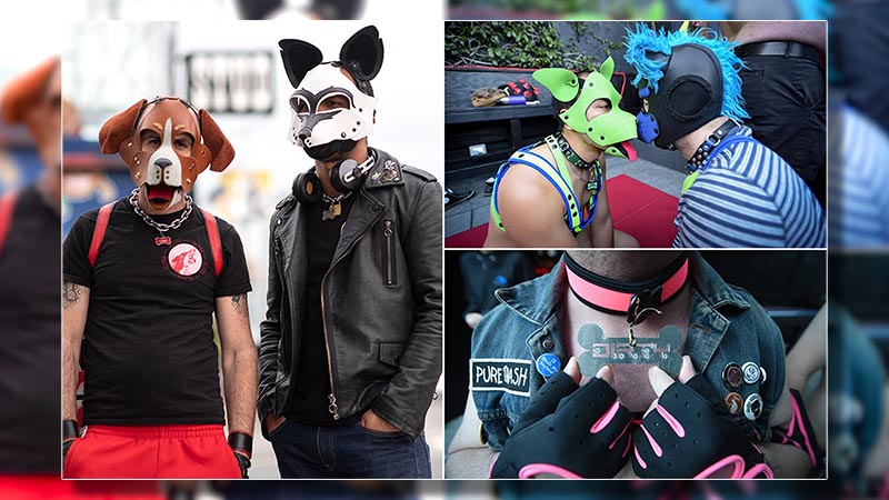 The 7 Most Exciting Hood Dog Accessories for Your Sexual Play