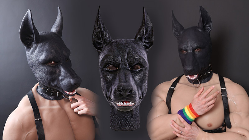 The 7 Most Exciting Hood Dog Accessories for Your Sexual Play
