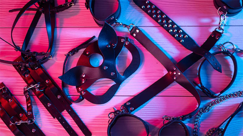 The 7 Most Exciting Hood Dog Accessories for Your Sexual Play