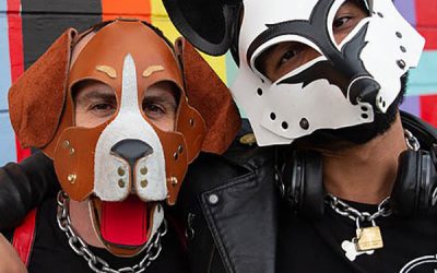 The 7 Most Exciting Hood Dog Accessories for Your Sexual Play