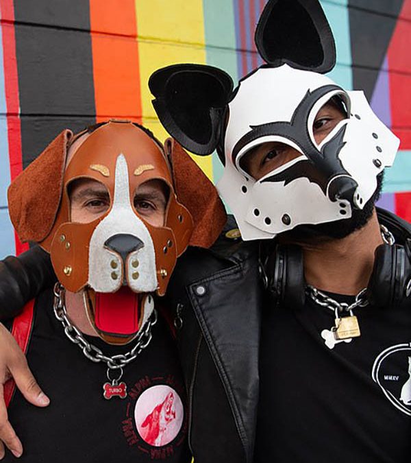 The 7 Most Exciting Hood Dog Accessories for Your Sexual Play