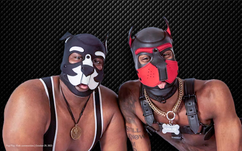How to Explore the World of Gay Puppy Play in Dungeons