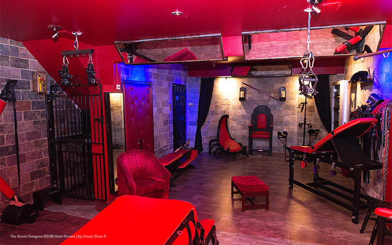 How to Explore the World of Gay Puppy Play in Dungeons