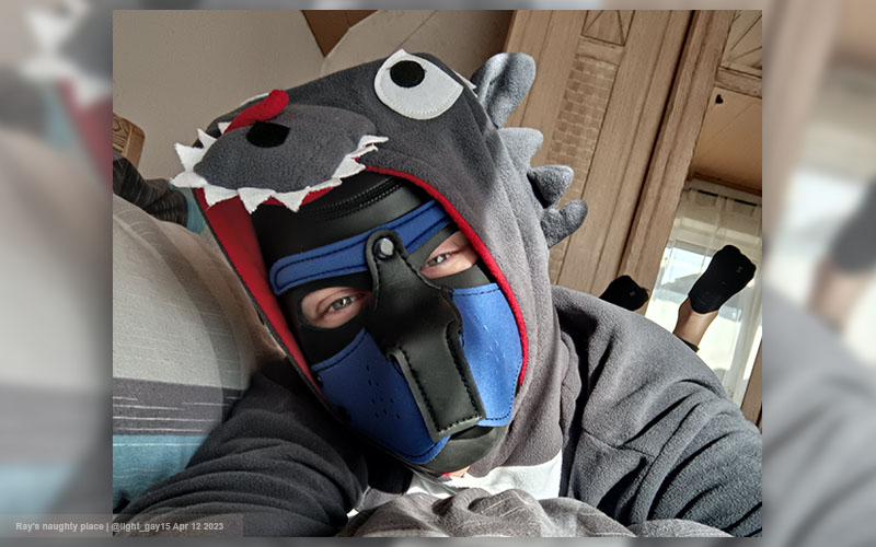 How to Explore the World of Gay Puppy Play in Dungeons