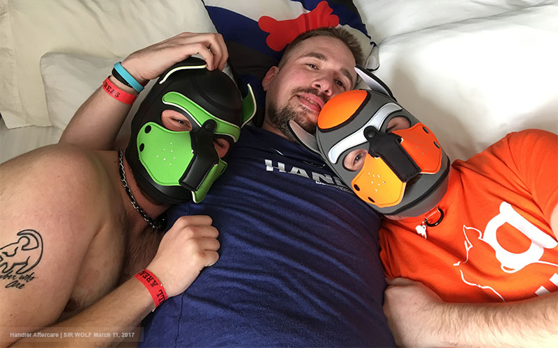 How to Explore the World of Gay Puppy Play in Dungeons