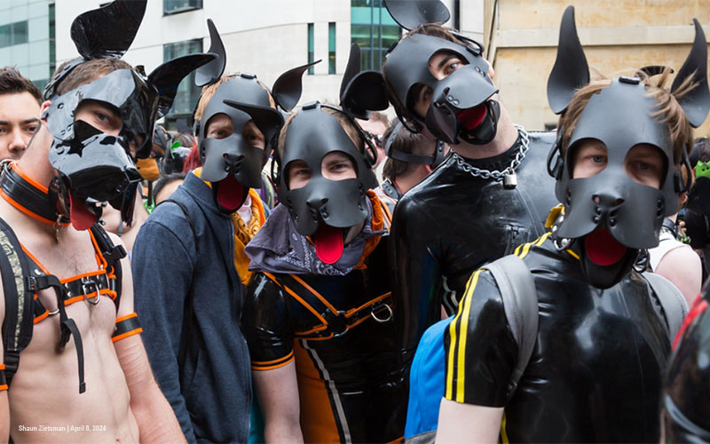 How to Explore the World of Gay Puppy Play in Dungeons
