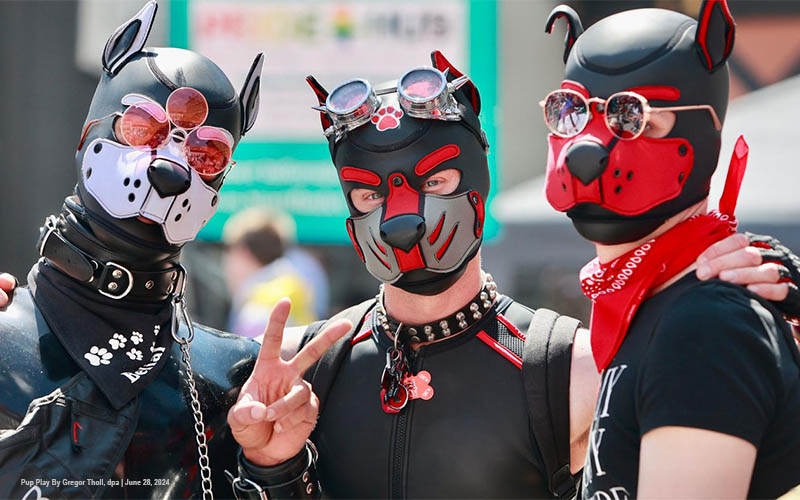 How to Explore the World of Gay Puppy Play in Dungeons
