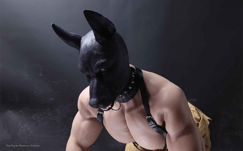 How to Explore the World of Gay Puppy Play in Dungeons