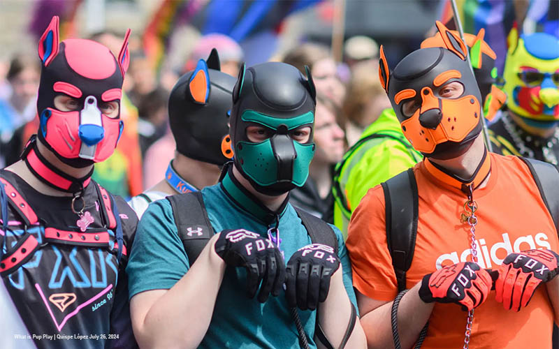 How to Explore the World of Gay Puppy Play in Dungeons