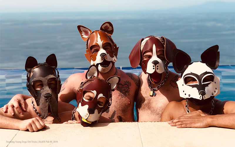 How to Explore the World of Gay Puppy Play in Dungeons