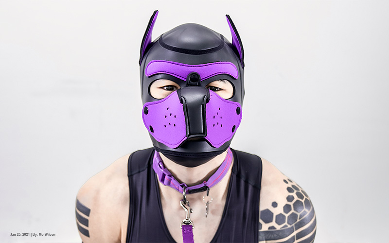 How to Explore the World of Gay Puppy Play in Dungeons