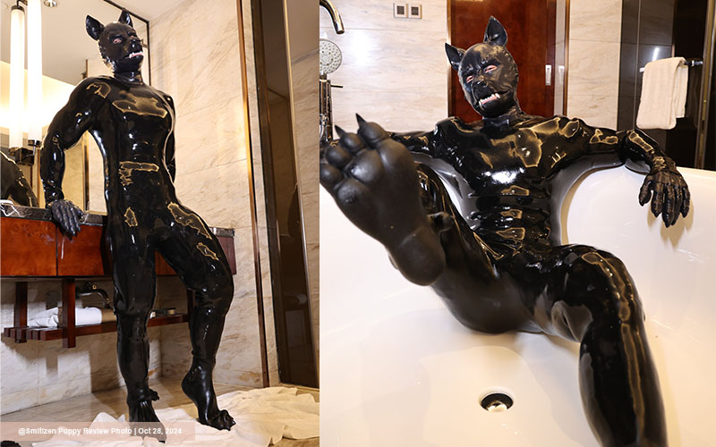 How to Explore the World of Gay Puppy Play in Dungeons