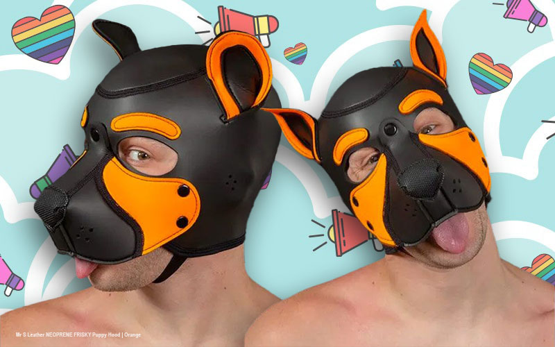 How to Explore the World of Gay Puppy Play in Dungeons