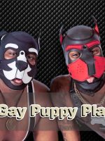 How to Explore the World of Gay Puppy Play in Dungeons
