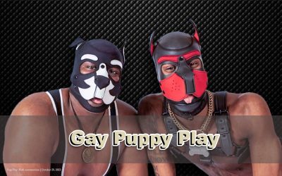 How to Explore the World of Gay Puppy Play in Dungeons