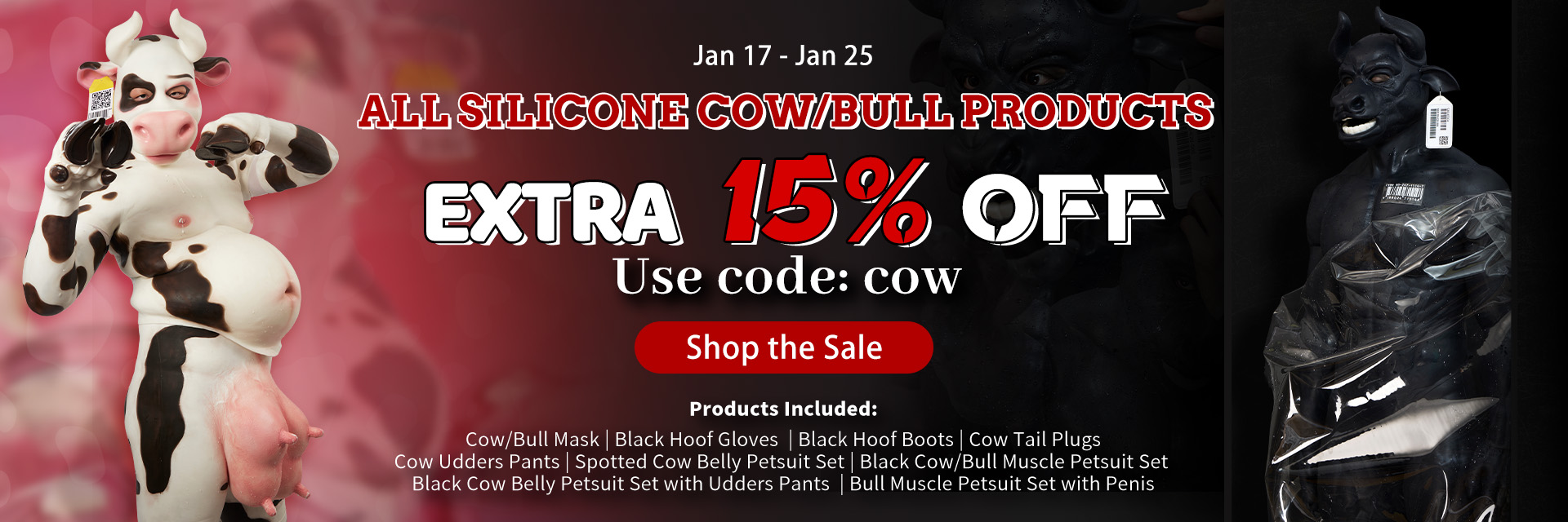 bull-cow-1