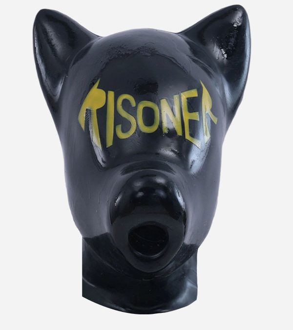 Silicone Short Ears Dog Drone Hood – RISONER