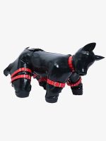 silicone-long-ears-drone-hood-puppy-gimp-suit-1