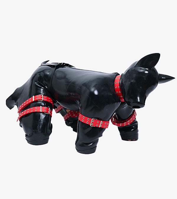 Silicone Long Ears Dog Drone Hood+Puppy Gimp Suit