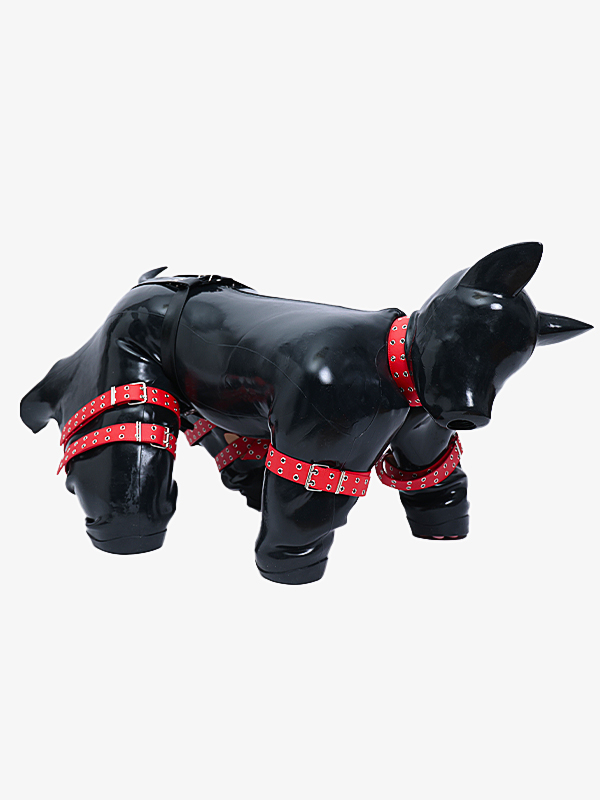 silicone-long-ears-drone-hood-puppy-gimp-suit-1