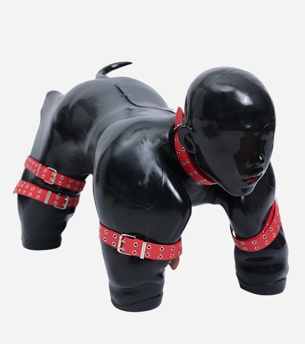 Silicone Black Hood-Thor + Puppy Gimp Suit