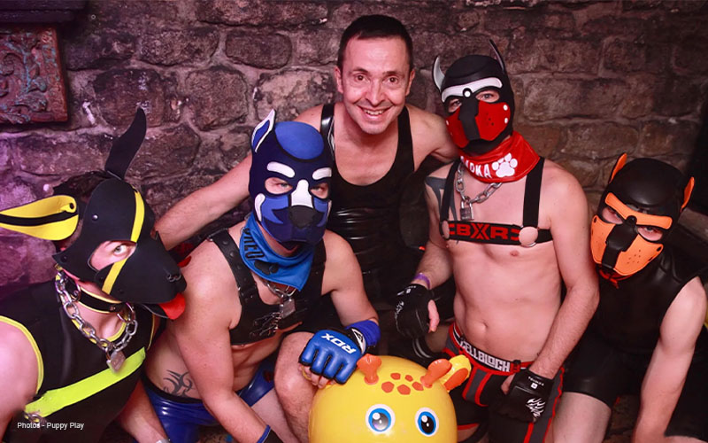A_Guide_To_Dog_Transformation_Using_Pup_Play_Collars_22